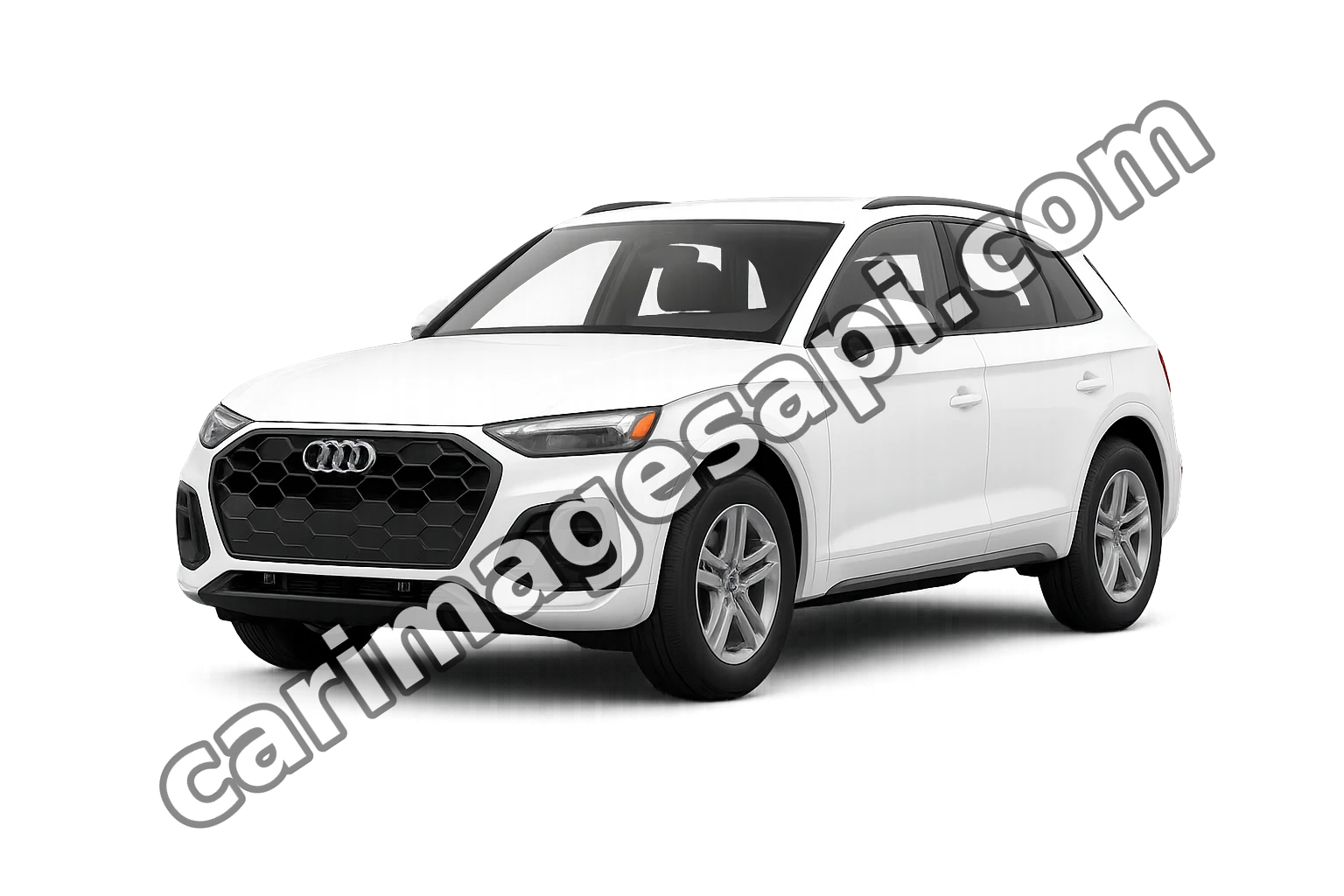 Audi Q5 (8RB)