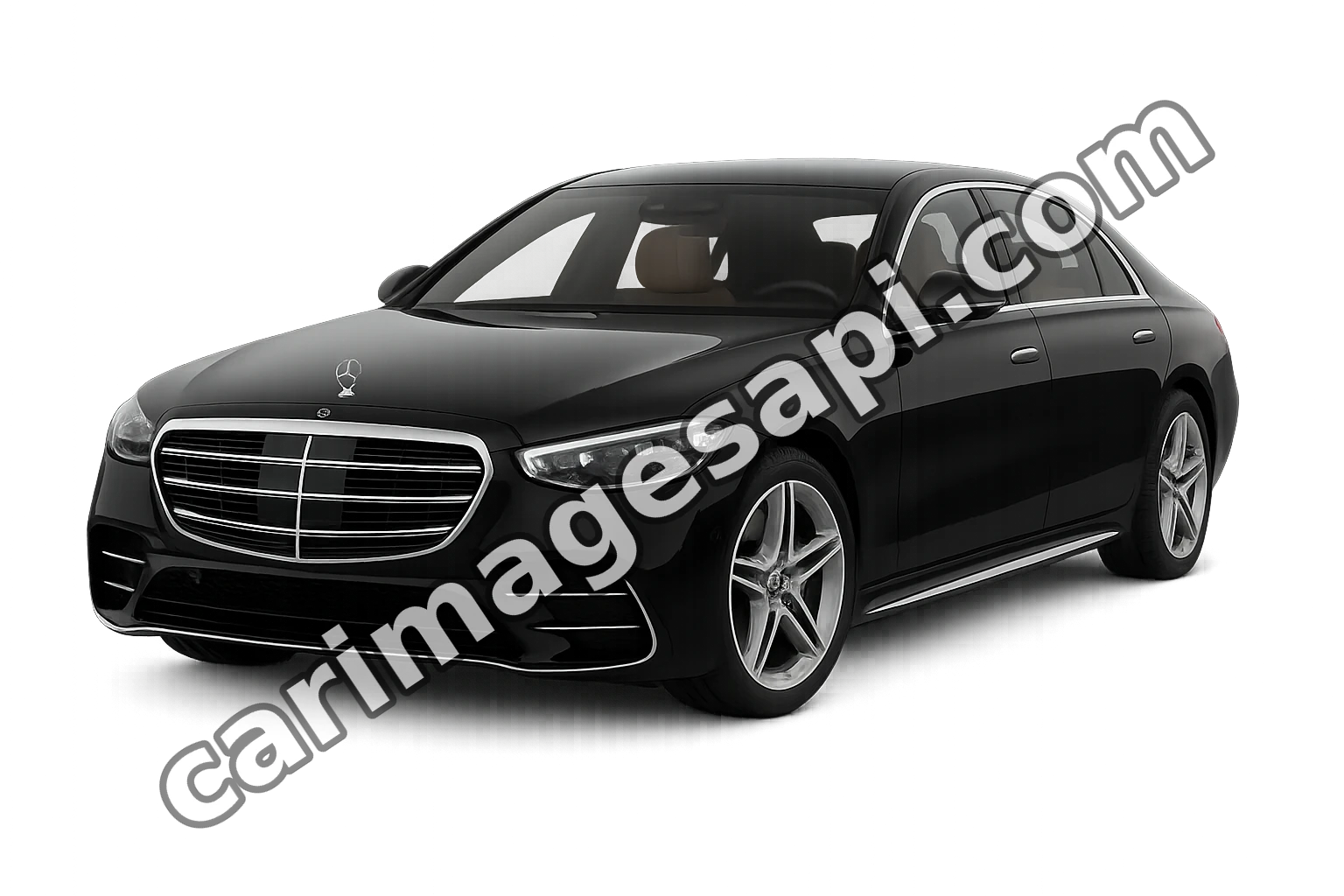 Mercedes-Benz S-CLASS (W221, V221)