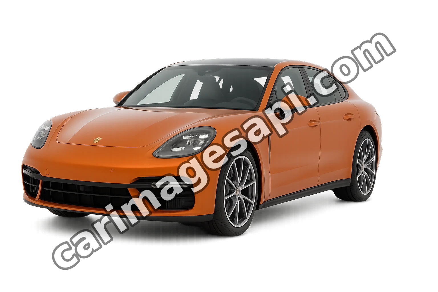 Porsche PANAMERA (970)
