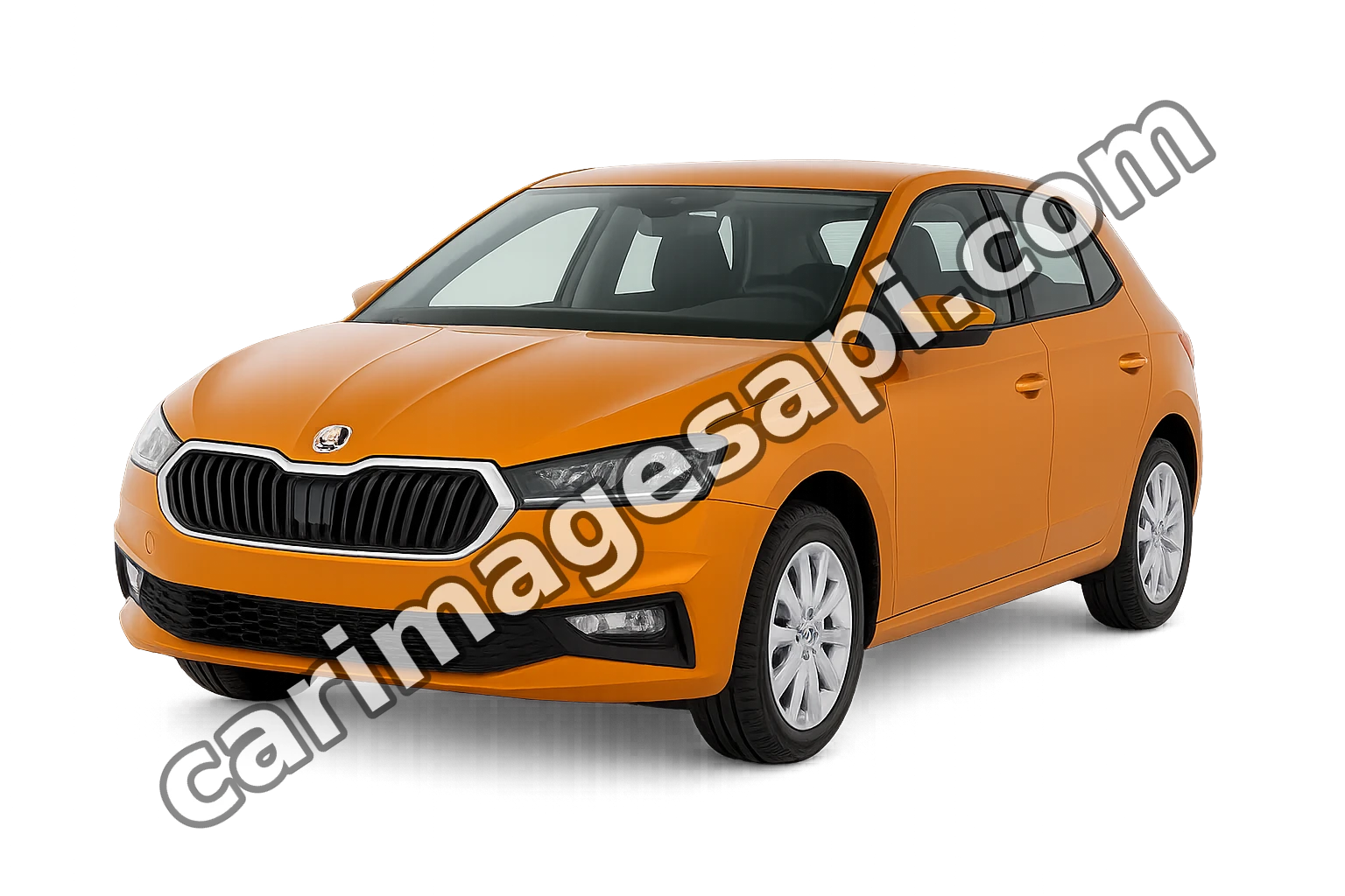 Skoda FABIA II Combi (545)